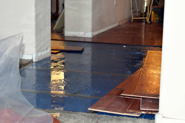 Professional Burst Pipe Cleanup technician working in Martell, NE